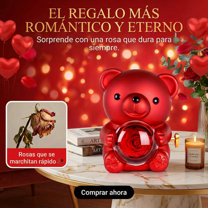 Oso Rosa Eterna con Collar