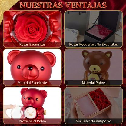 Oso Rosa Eterna con Collar